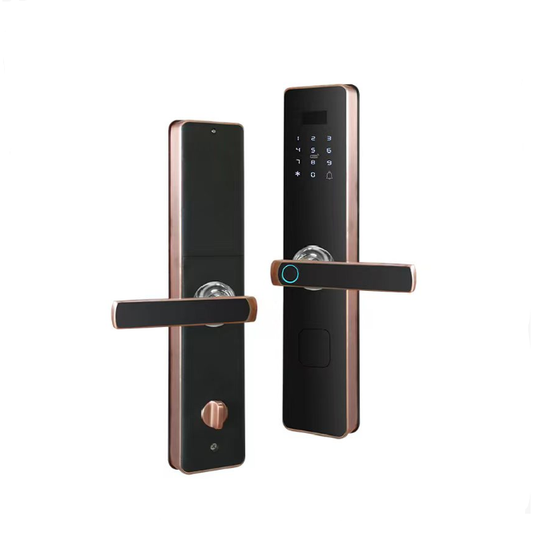 Smart Fingerprint Door Lock with WiFi App Control & Keyless Entry